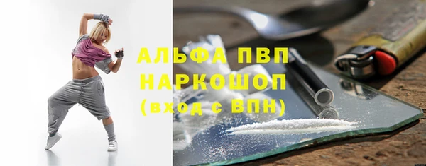 прущий лед Алзамай