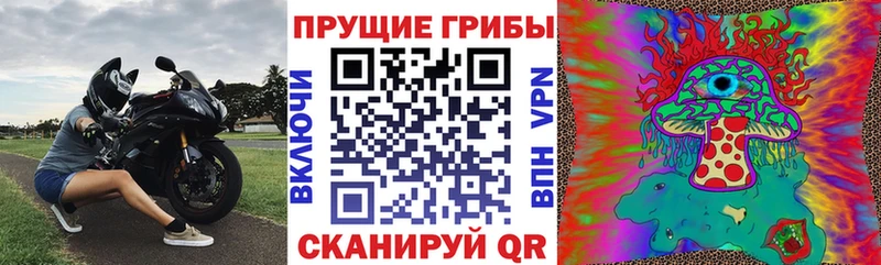 Галлюциногенные грибы GOLDEN TEACHER Алушта